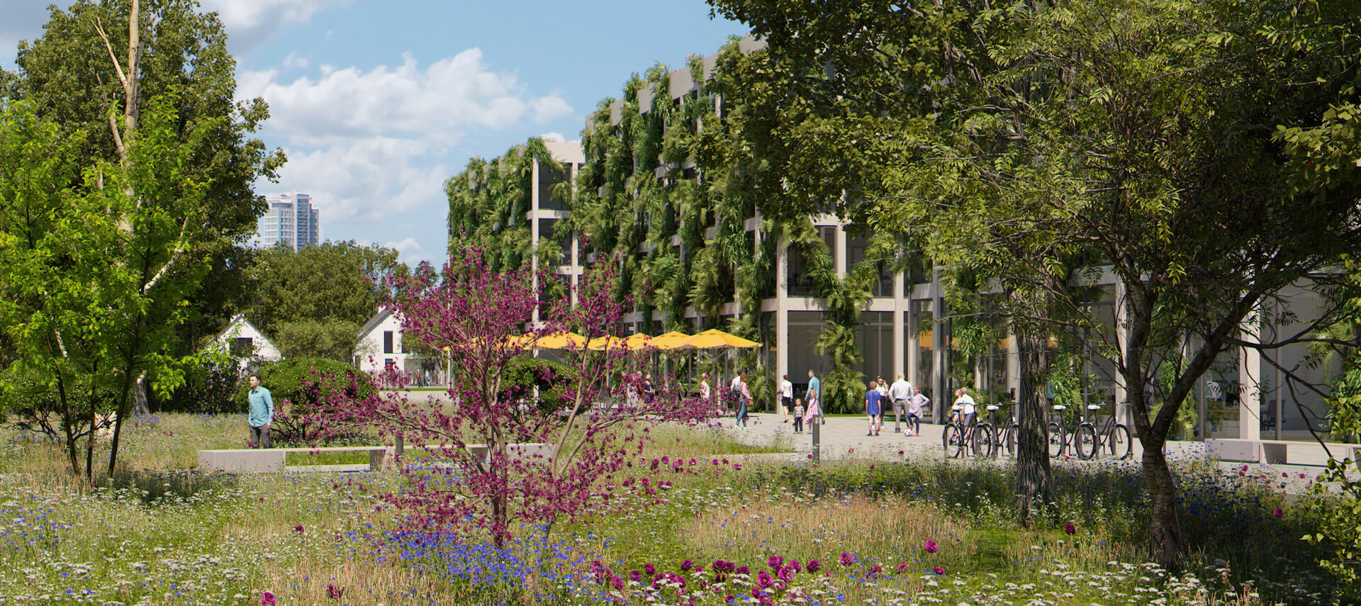 dibag-visu-haar-begruenung-ausschnitt